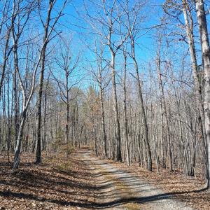 Photo #13 of 3901 Midland Rd, Wingina, VA 6.4 acres