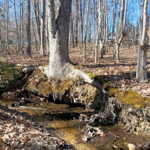 Photo #74 of 3901 Midland Rd, Wingina, VA 6.4 acres