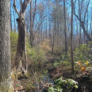 Photo #76 of 3901 Midland Rd, Wingina, VA 6.4 acres