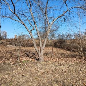 Photo #66 of 3901 Midland Rd, Wingina, VA 6.4 acres