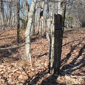 Photo #71 of 3901 Midland Rd, Wingina, VA 6.4 acres