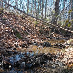 Photo #15 of 3901 Midland Rd, Wingina, VA 6.4 acres