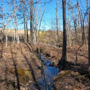 Photo #79 of 3901 Midland Rd, Wingina, VA 6.4 acres