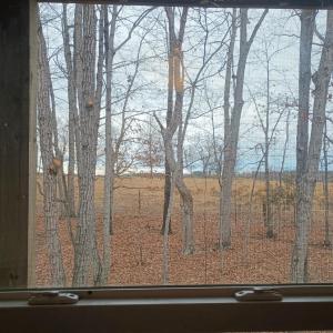 Photo #43 of 3901 Midland Rd, Wingina, VA 6.4 acres