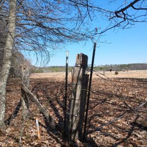 Photo #70 of 3901 Midland Rd, Wingina, VA 6.4 acres