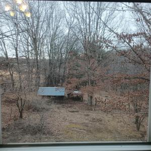 Photo #52 of 3901 Midland Rd, Wingina, VA 6.4 acres