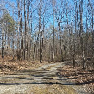 Photo #14 of 3901 Midland Rd, Wingina, VA 6.4 acres