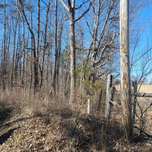 Photo #7 of 3901 Midland Rd, Wingina, VA 6.4 acres