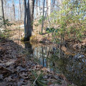 Photo #78 of 3901 Midland Rd, Wingina, VA 6.4 acres