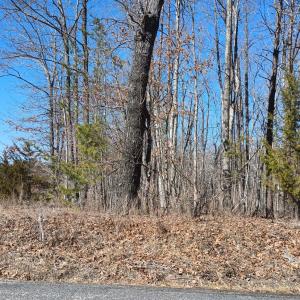 Photo #9 of 3901 Midland Rd, Wingina, VA 6.4 acres