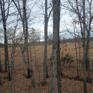 Photo #54 of 3901 Midland Rd, Wingina, VA 6.4 acres