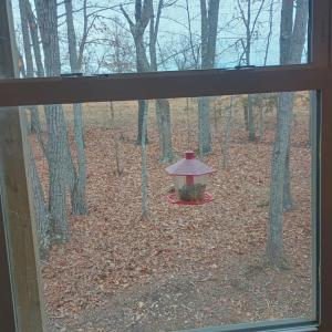 Photo #42 of 3901 Midland Rd, Wingina, VA 6.4 acres