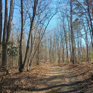 Photo #81 of 3901 Midland Rd, Wingina, VA 6.4 acres