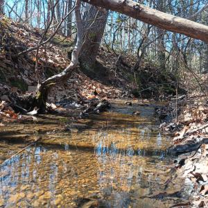 Photo #77 of 3901 Midland Rd, Wingina, VA 6.4 acres