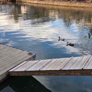 Photo #6 of 1085 Azalea Drive, Moneta, VA 0.4 acres