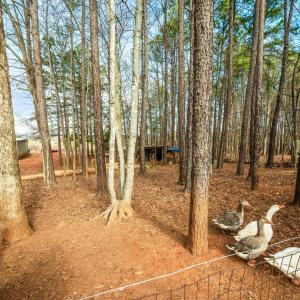 Photo #44 of 3105 Horseshoe Road, Appomattox, VA 1.1 acres