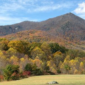 Photo #18 of 7392 Peaks Road, Bedford, VA 21.4 acres