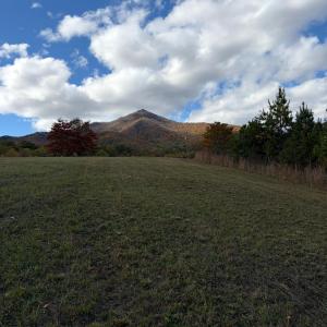 Photo #15 of 7392 Peaks Road, Bedford, VA 21.4 acres