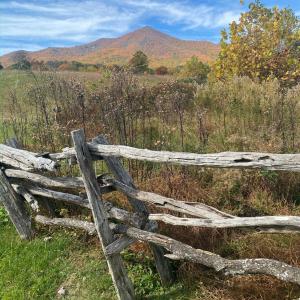 Photo #8 of 7392 Peaks Road, Bedford, VA 21.4 acres