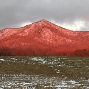 Photo #14 of 7392 Peaks Road, Bedford, VA 21.4 acres