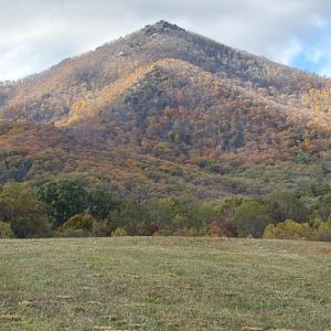 Photo #16 of 7392 Peaks Road, Bedford, VA 21.4 acres