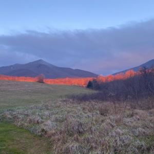 Photo #12 of 7392 Peaks Road, Bedford, VA 21.4 acres