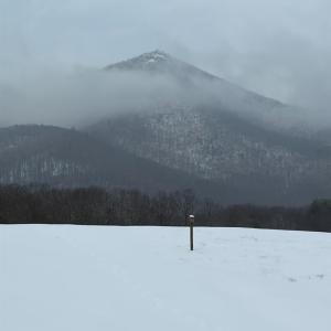 Photo #24 of 7392 Peaks Road, Bedford, VA 21.4 acres