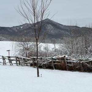 Photo #22 of 7392 Peaks Road, Bedford, VA 21.4 acres