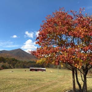 Photo #23 of 7392 Peaks Road, Bedford, VA 21.4 acres