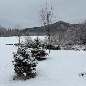 Photo #35 of 7392 Peaks Road, Bedford, VA 21.4 acres