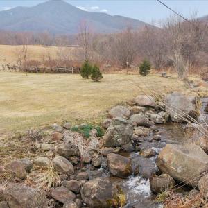 Photo #9 of 7392 Peaks Road, Bedford, VA 21.4 acres