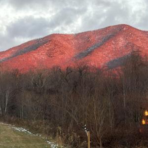 Photo #25 of 7392 Peaks Road, Bedford, VA 21.4 acres