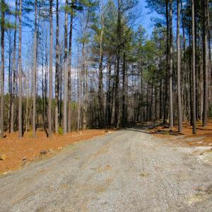 Photo #38 of 3324 Laurel Road, Shipman, VA 2.0 acres