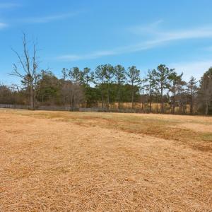 Photo #38 of 112 Savage Drive, Rustburg, VA 1.1 acres