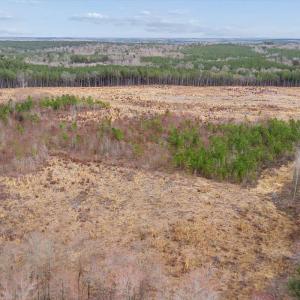 Photo #66 of 1166 Throckmorton Trail, Scottsburg, VA 115.5 acres