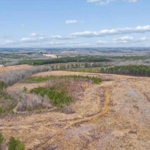 Photo #58 of 1166 Throckmorton Trail, Scottsburg, VA 115.5 acres