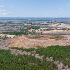 Photo #48 of 1166 Throckmorton Trail, Scottsburg, VA 115.5 acres