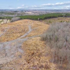 Photo #65 of 1166 Throckmorton Trail, Scottsburg, VA 115.5 acres