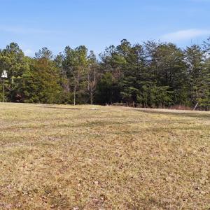Photo #38 of 409 Staunton River Landing, Gretna, VA 3.6 acres