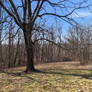 Photo #37 of 409 Staunton River Landing, Gretna, VA 3.6 acres