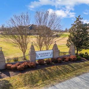 Photo #91 of 2175 Colby Drive, Forest, VA 1.1 acres