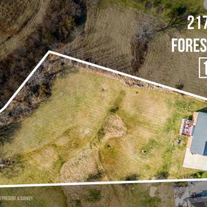 Photo #81 of 2175 Colby Drive, Forest, VA 1.1 acres