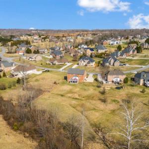 Photo #83 of 2175 Colby Drive, Forest, VA 1.1 acres