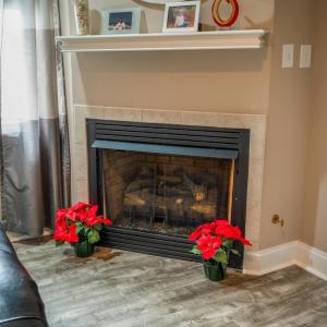 Photo #55 of 2175 Colby Drive, Forest, VA 1.1 acres