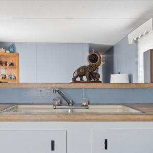 Photo #33 of 1074 Throckmorton Trail, Scottsburg, VA 1.4 acres