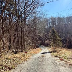 Photo #65 of 218 Maple Drive, Madison Heights, VA 8.0 acres