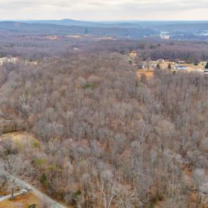 Photo #61 of 218 Maple Drive, Madison Heights, VA 8.0 acres