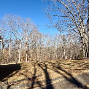 Photo #77 of 218 Maple Drive, Madison Heights, VA 8.0 acres