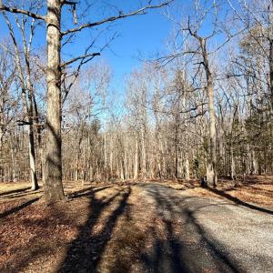 Photo #68 of 218 Maple Drive, Madison Heights, VA 8.0 acres