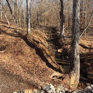 Photo #66 of 218 Maple Drive, Madison Heights, VA 8.0 acres